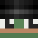 Image for 0055 Minecraft Player