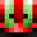 Image for 0570 Minecraft Player