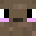 Image for 0csR Minecraft Player