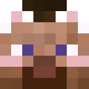 Image for 0hPixel Minecraft Player