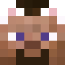 Image for 11s1 Minecraft Player