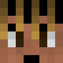 Image for 14CPSS Minecraft Player