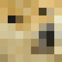 Image for 150cc Minecraft Player