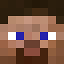 Image for 166s Minecraft Player