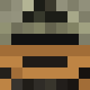 Image for 16x1 Minecraft Player