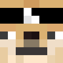 Image for 16xPack Minecraft Player