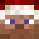 Image for 187Steve Minecraft Player