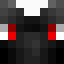 Image for 1Senix Minecraft Player