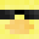 Image for 21Ducks Minecraft Player