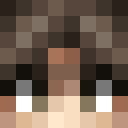 Image for 240T Minecraft Player