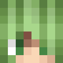 Image for 288x Minecraft Player