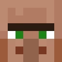 Image for 2982 Minecraft Player