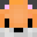 Image for 2Fox Minecraft Player