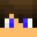 Image for 2P4 Minecraft Player