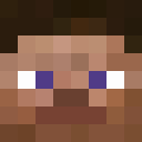 Image for 2P5L Minecraft Player