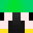 Image for 2Potted Minecraft Player