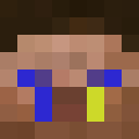 Image for 3809 Minecraft Player