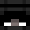 Image for 3_HP Minecraft Player