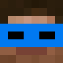 Image for 444z Minecraft Player