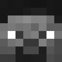 Image for 44O Minecraft Player