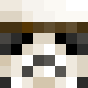 Image for 491 Minecraft Player