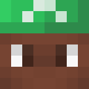 Image for 4larry Minecraft Player