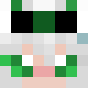 Image for 4verie Minecraft Player