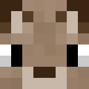 Image for 5lo Minecraft Player