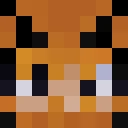 P529's Minecraft head
