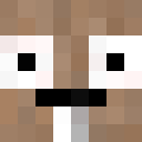 Image for 6nipe Minecraft Player