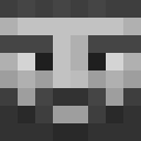 Image for 6pro Minecraft Player