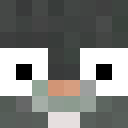 Image for 75kr Minecraft Player