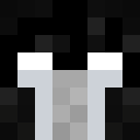 Image for 7LS Minecraft Player