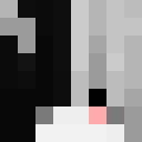 Image for 96w Minecraft Player