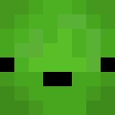 Image for ACturtle Minecraft Player