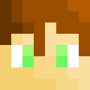 Image for ANSHU_GAMER Minecraft Player