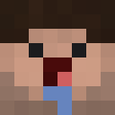 Image for ASLT Minecraft Player