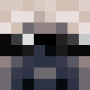 Image for A_Pug Minecraft Player