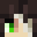 Image for Aaron_Lim Minecraft Player