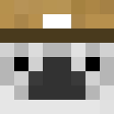 Image for AckLeLama Minecraft Player