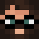 Image for ActuallySalty Minecraft Player