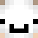 Image for Adi_Playz Minecraft Player