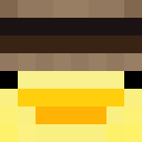 Image for AgentDuck007 Minecraft Player