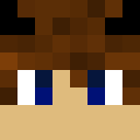 Image for Aidan569 Minecraft Player