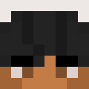 Image for AiluropodaPanda Minecraft Player