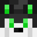 Image for Aisaki Minecraft Player