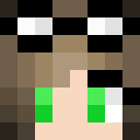 Image for Ally8 Minecraft Player