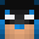 Image for AmIPro Minecraft Player