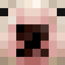 Image for Amongos Minecraft Player