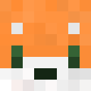 Image for AnonymousFox Minecraft Player